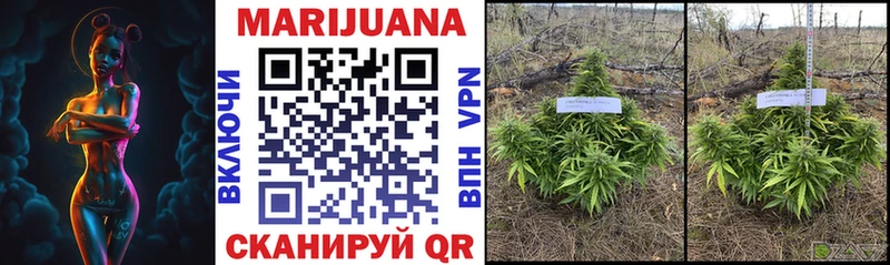 KRAKEN онион  продажа наркотиков  Касимов  Марихуана Ganja 